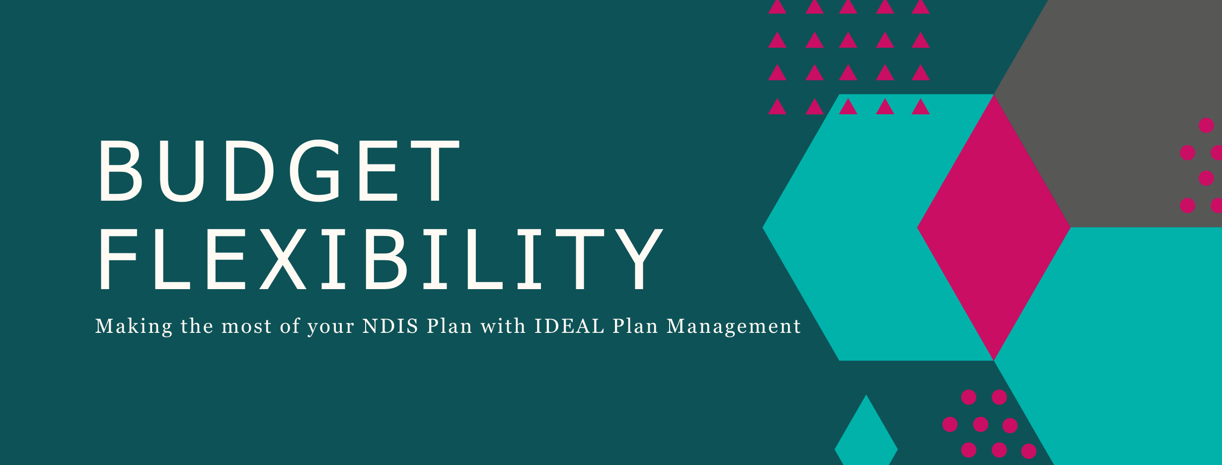 budget flexibility making the most of your ndis plan with ideal plan management